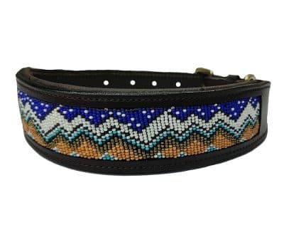 Dog Collars