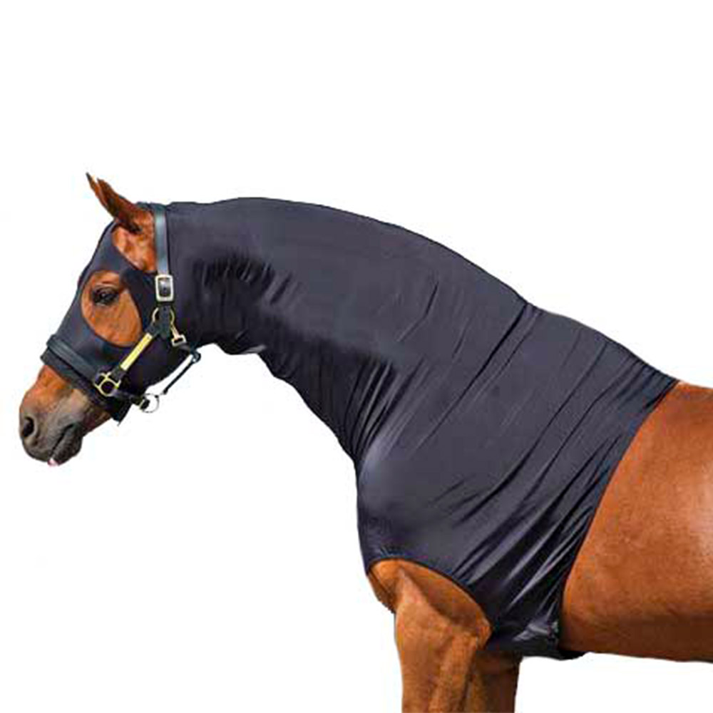 Horse Hood